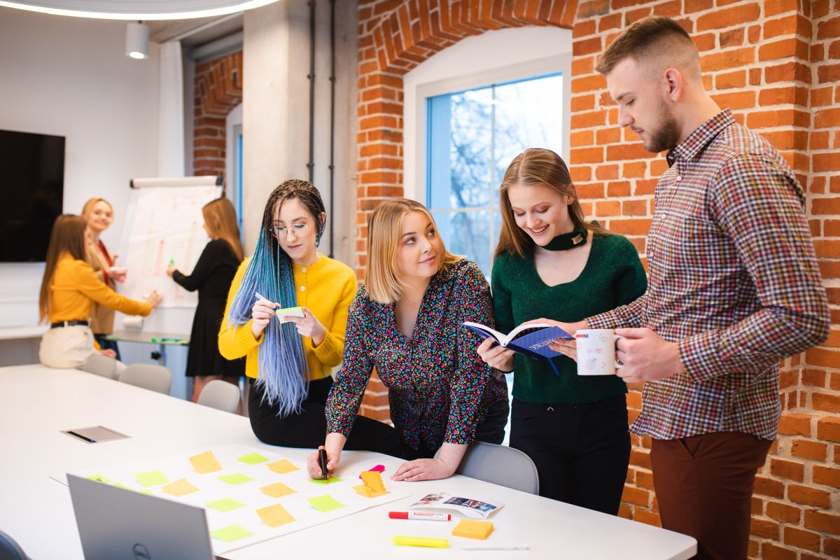 Dolnośląska Szkoła Wyższa - 17